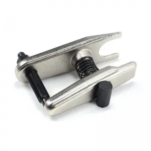 الكرة المشتركة الفك الكبير